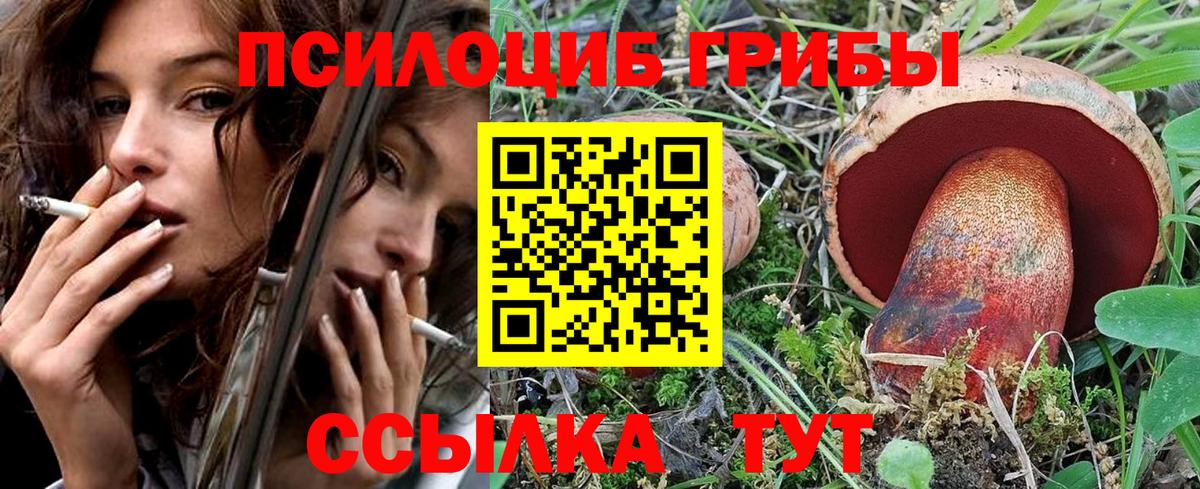 как найти наркотики  Псилоцибиновые грибы Cubensis  Вход с VPN  Псилоцибиновые грибы мицелий  Канаш 