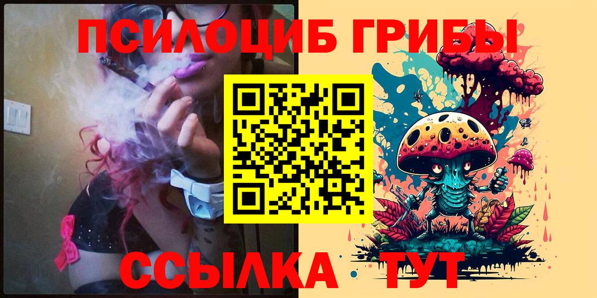 Псилоцибиновые грибы GOLDEN TEACHER Канаш